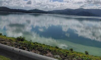 Floración de cianobacterias visible en el embalse de Hatillo