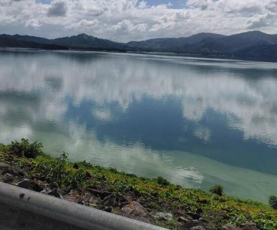 Floración de cianobacterias visible en el embalse de Hatillo
