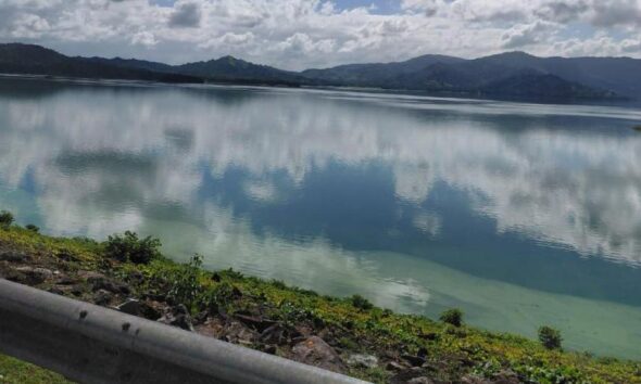 Floración de cianobacterias visible en el embalse de Hatillo