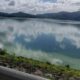 Floración de cianobacterias visible en el embalse de Hatillo