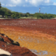 Acumulación de sargazo en una costa de Barahona, fotografía de archivo